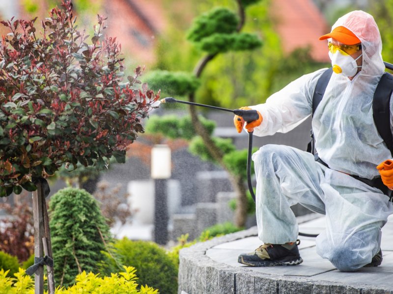 Manavkuyu Haşere İlaçlama